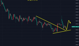 另类变态国产精品,另类变态精品之作深度解析